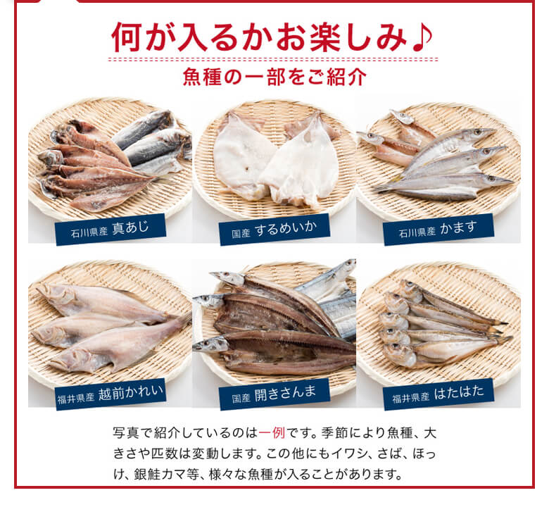 何が入るかお楽しみ♪