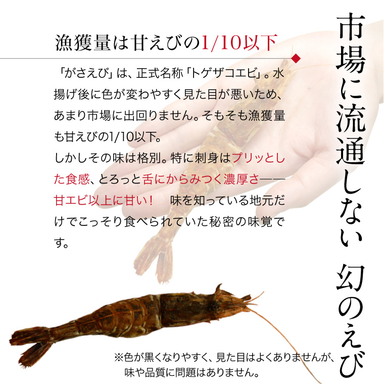 がさえび-漁獲量は甘えびの1/10