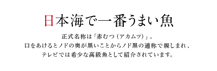 日本海で一番うまい魚