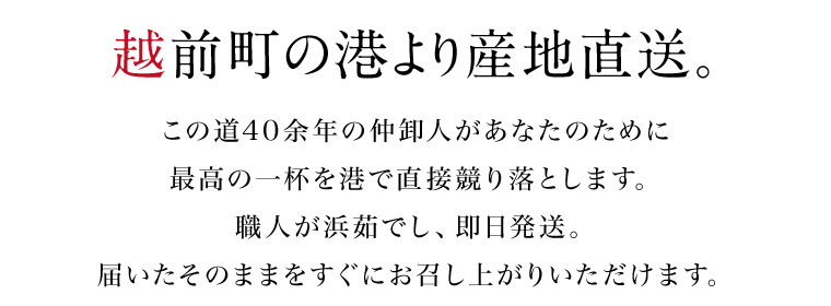 越前がに―越前町より産地直送