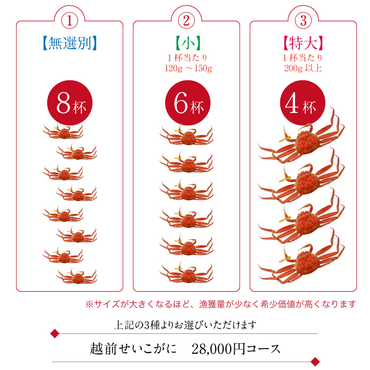 越前がに