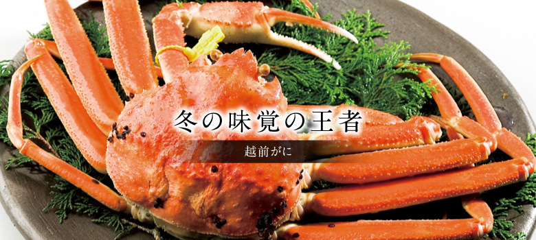 越前がに
