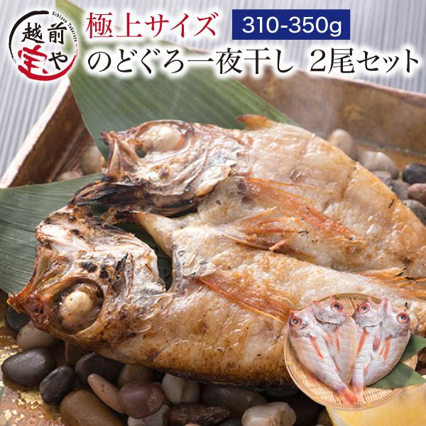 のどぐろ干物（一夜干し） 約310-350g×2尾入【冷凍】