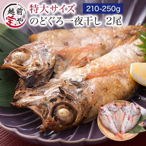 のどぐろ干物（一夜干し） 約210g-250g×2尾入【冷凍】