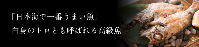 日本海で一番うまい魚