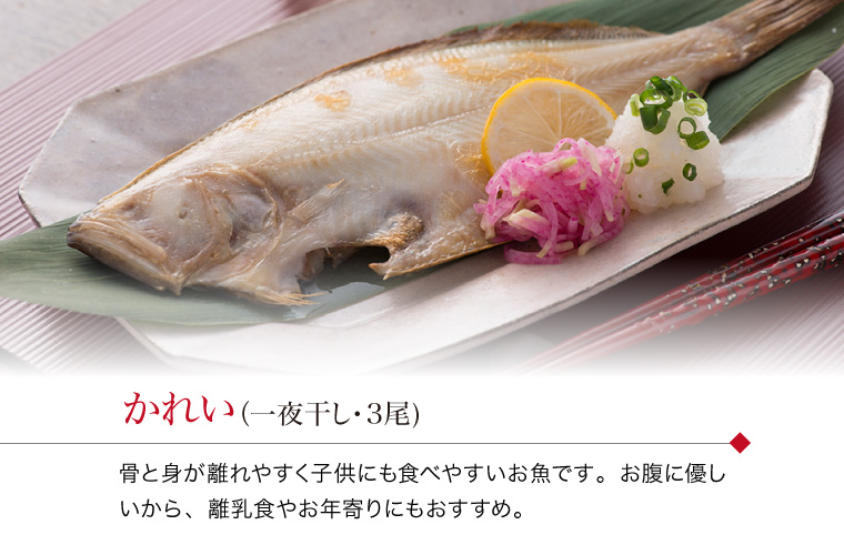 特大のどぐろ1枚入り 高級うす塩干物ギフトセット17品 風呂敷対応可 【冷凍】 | 福井の越前宝や(越前たからや)