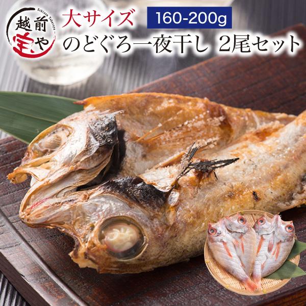 のどぐろ干物（一夜干し） 約160-200g×2尾入【冷凍】