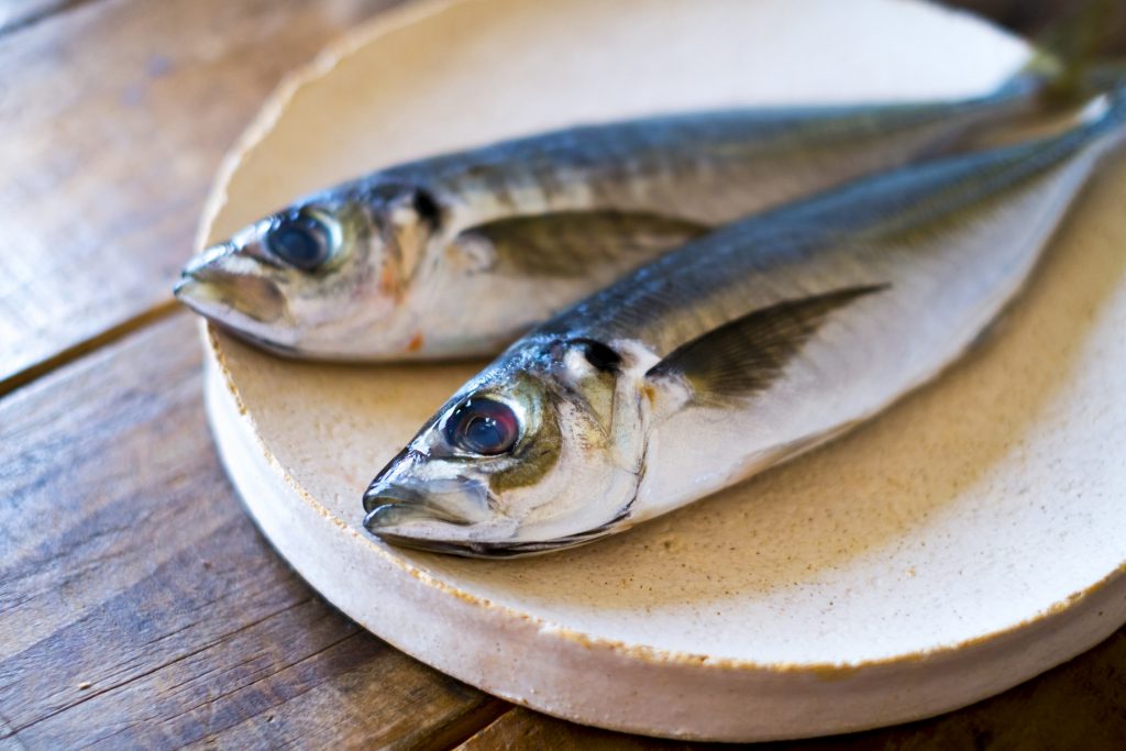 魚の豆知識 味が良いから アジ 馴染み深い魚 アジについて 福井の越前宝や 越前たからや