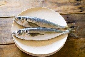 魚の豆知識 味が良いから アジ 馴染み深い魚 アジについて 福井の越前宝や 越前たからや