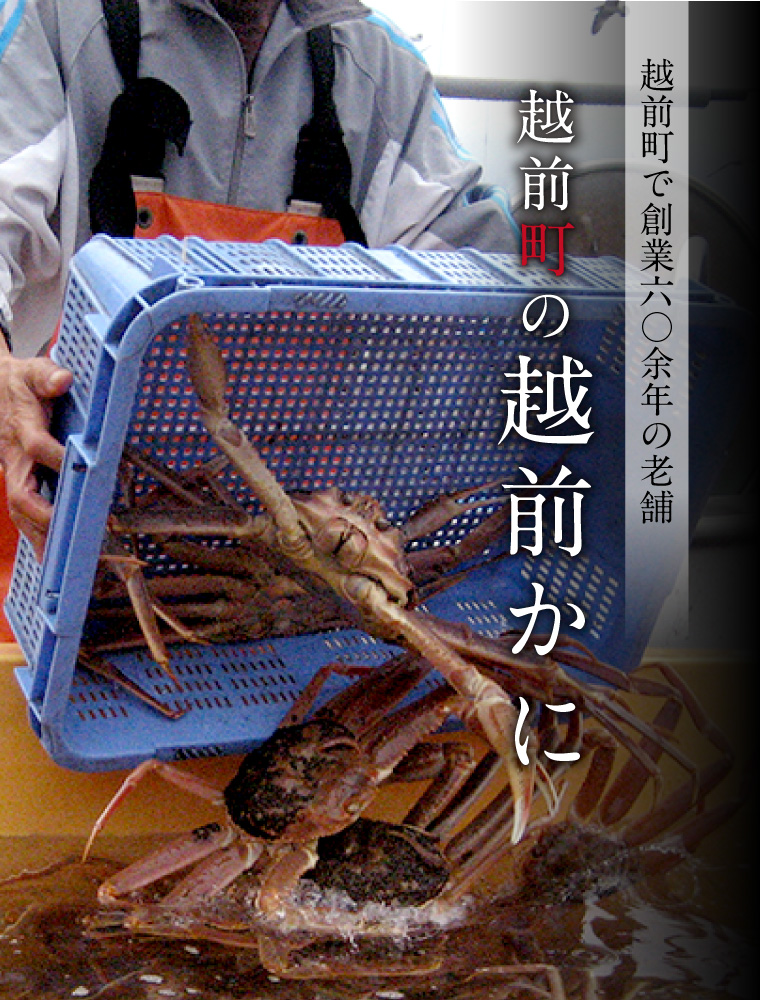 越前がに