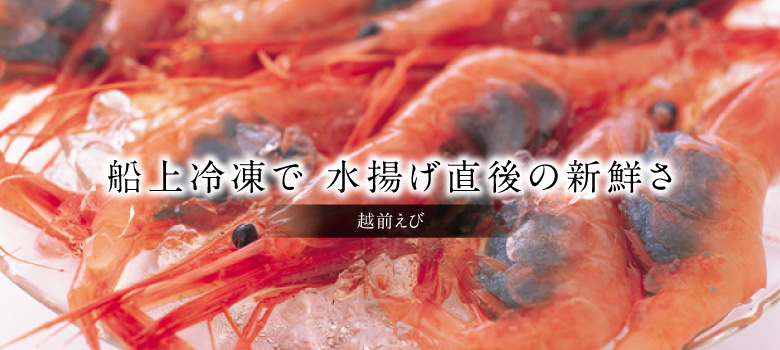 えび