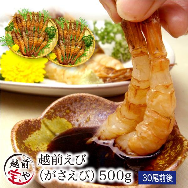 越前がさえび 500g(30尾前後) 福井産 【冷凍】 