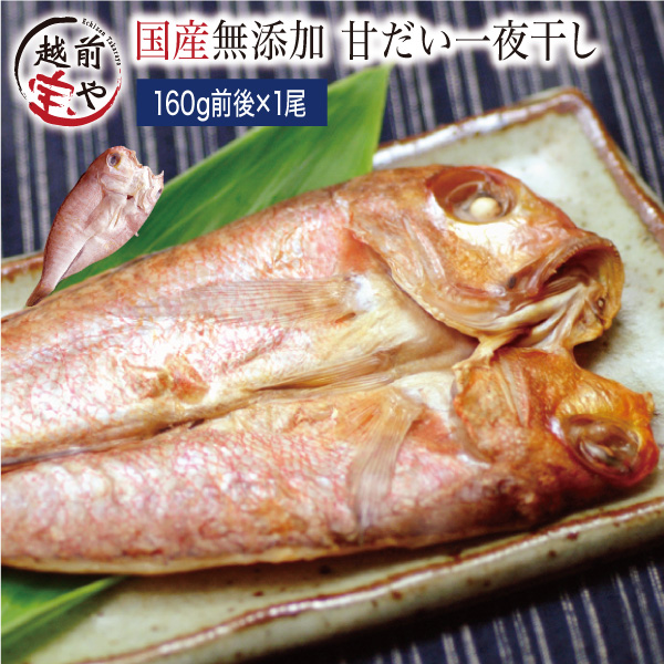 越前特大甘だい 約160g×1尾