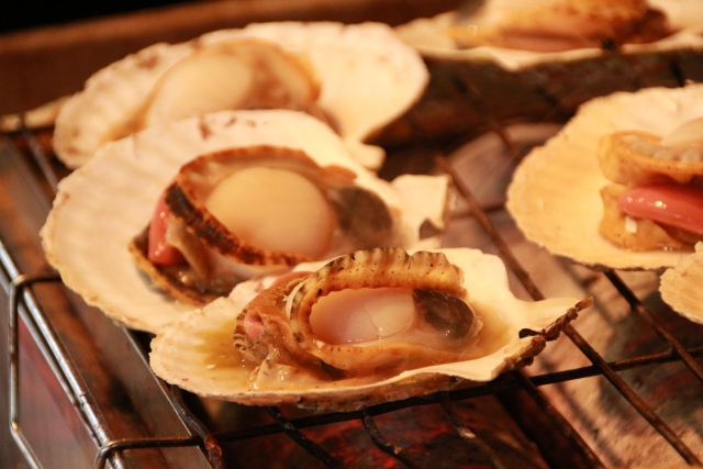 魚図鑑 ホタテ 今からが食べ時 ウロ 産地 旬 焼き方すべて解説 福井の越前宝や 越前たからや