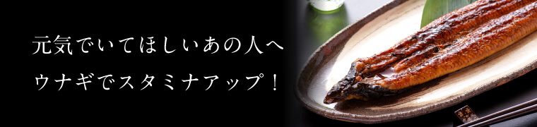 干物セット特集(うなぎと干物)