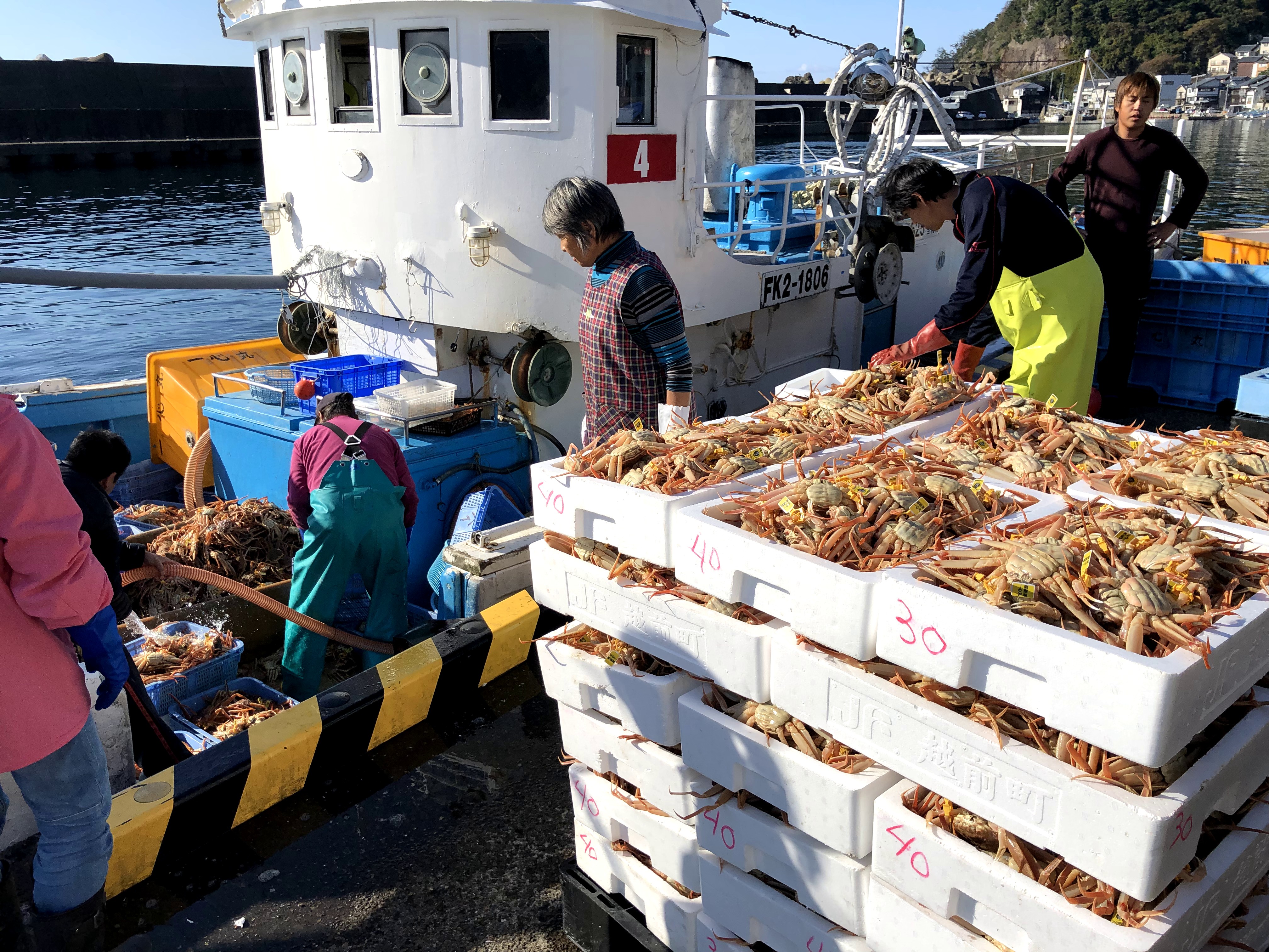 年 越前ガニの解禁日はいつ 越前がにの疑問にすべてお答えいたします 福井の越前宝や 越前たからや 年 越前ガニの解禁日はいつ 越前がにの疑問にすべてお答えいたします 福井の越前宝や 越前たからや