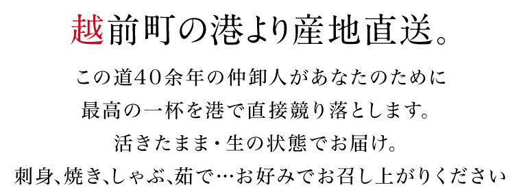 越前がに-生産地直送