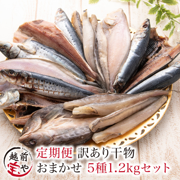 【定期便】訳あり干物おまかせ5種1.2kgセット