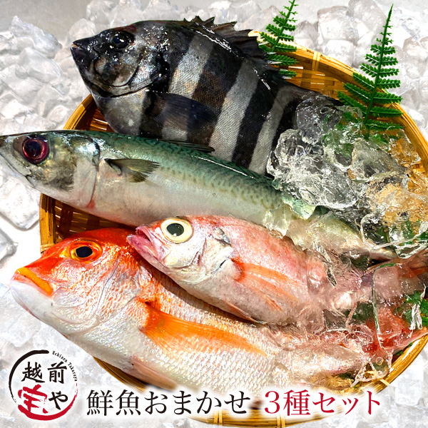 鮮魚 おまかせ セット 3種以上【冷蔵】