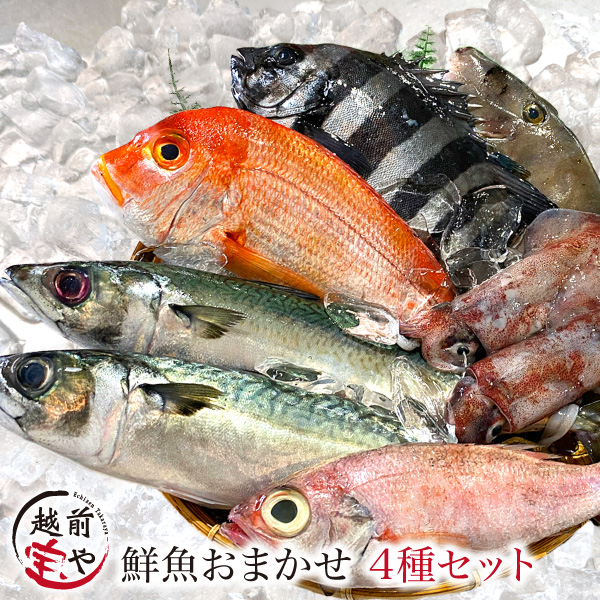 鮮魚 おまかせ セット 4種以上【冷蔵】