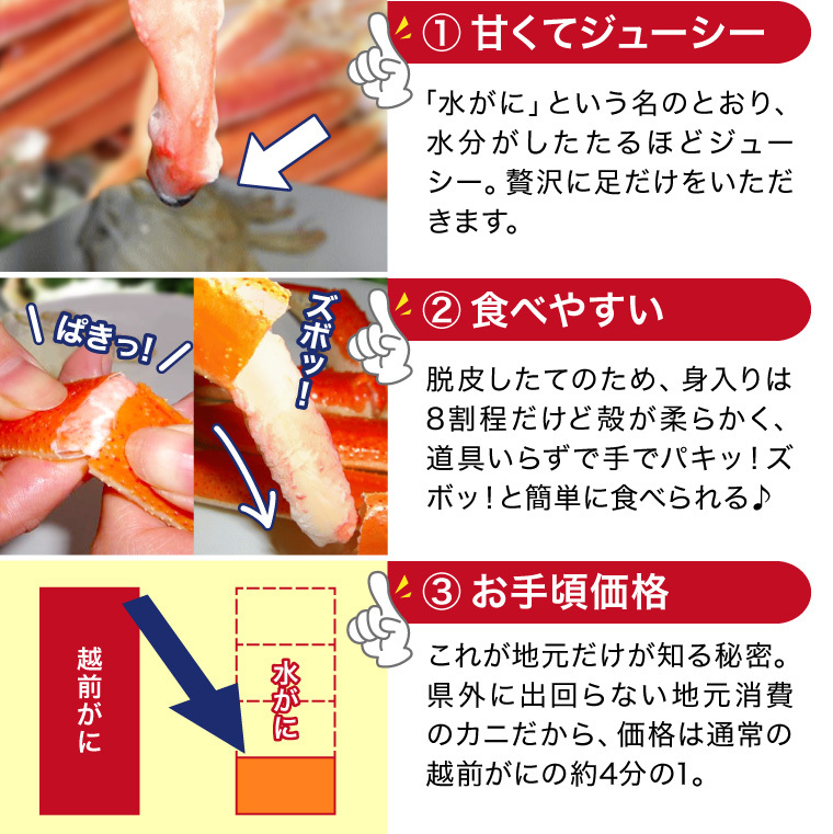 越前水がに-水がにとは3