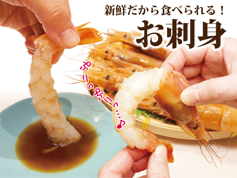 赤えび-食べ方-お刺身