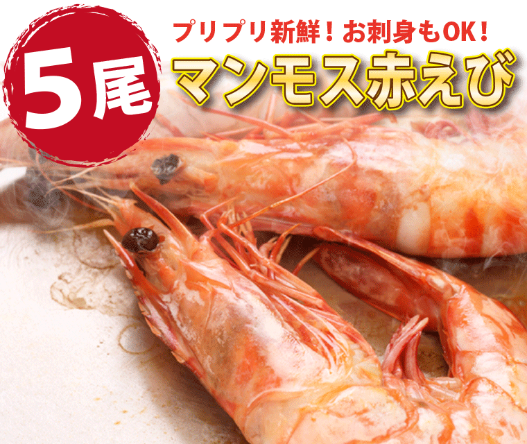 海鮮2種10品-えび5尾