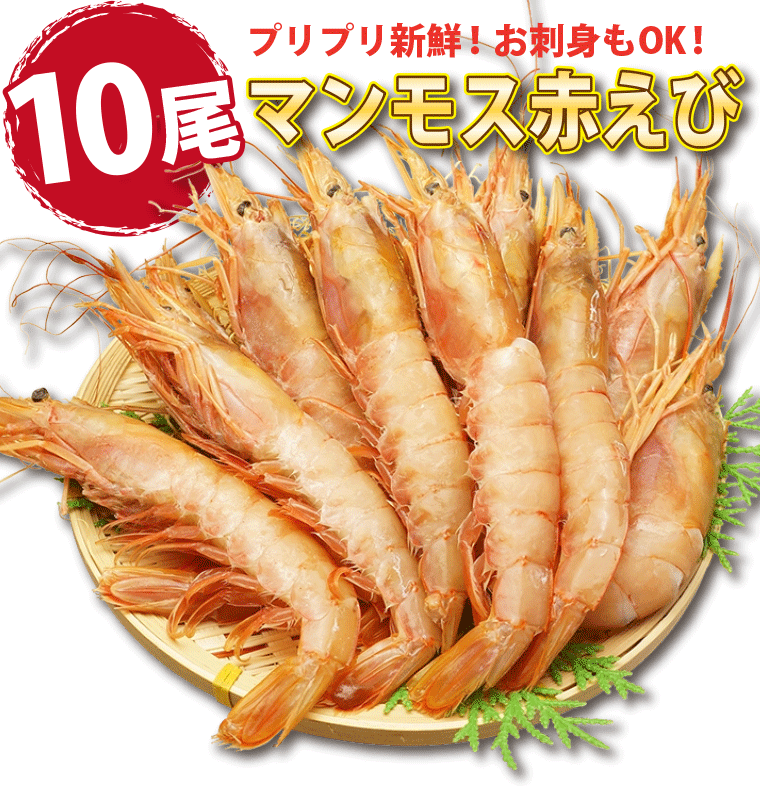 海鮮2種20品-えび10尾