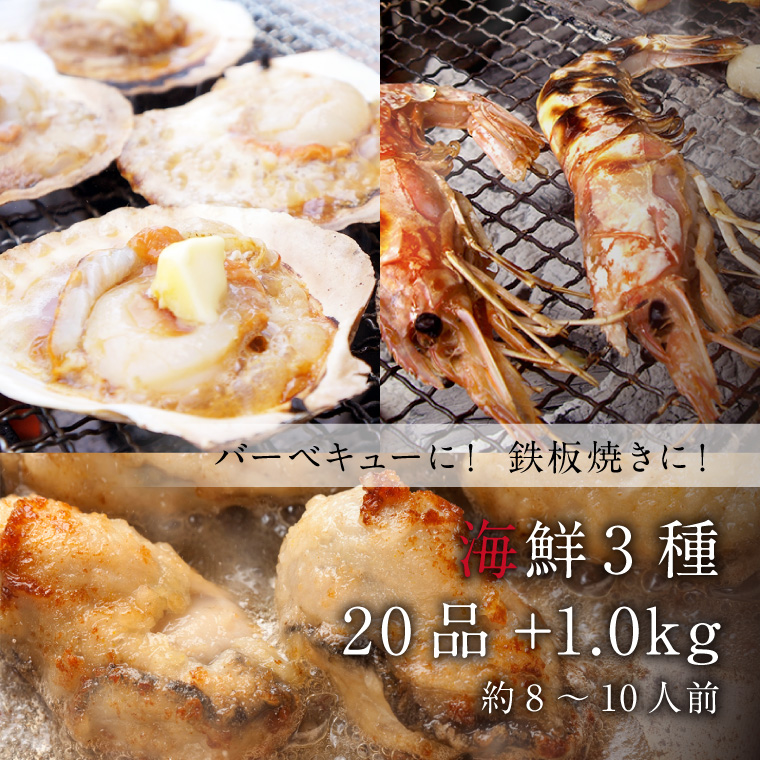 海鮮3種20品+1.0kg-イメージ