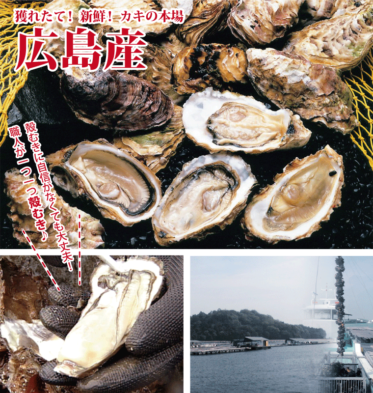 牡蠣-広島産