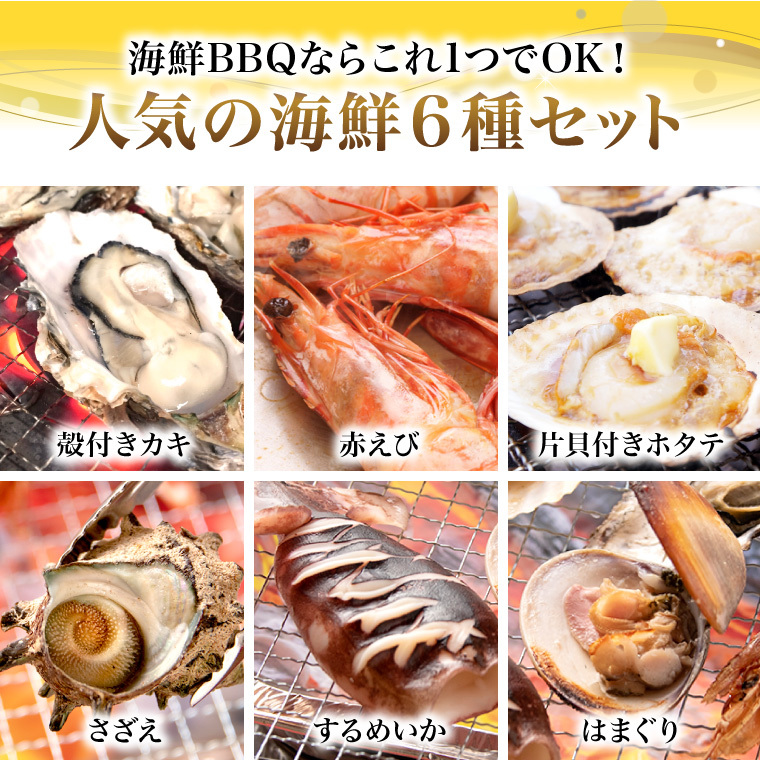 海鮮6種-人気の海鮮