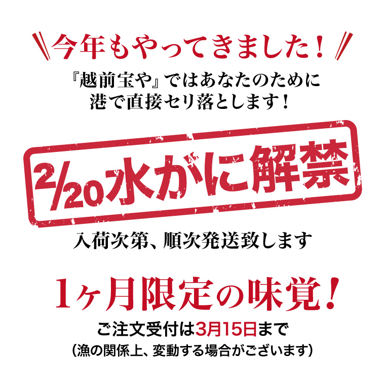 越前水がに-今年もやってきた