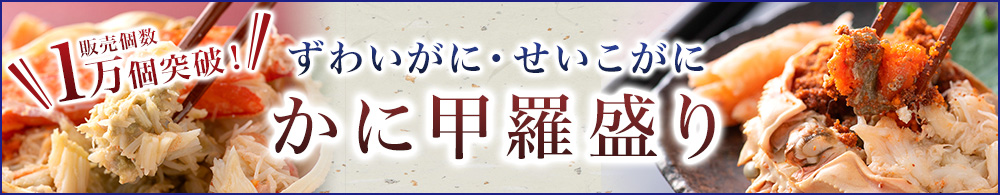 甲羅盛り-カテゴリバナー