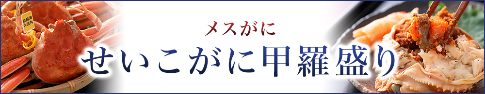 越前せいこ甲羅盛り-カテゴリバナー